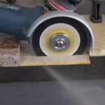 Pro Rex - Изображение 5